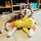 SweetS Robuste große Hundekauspielzeug – Plüsch-kausichere Ente